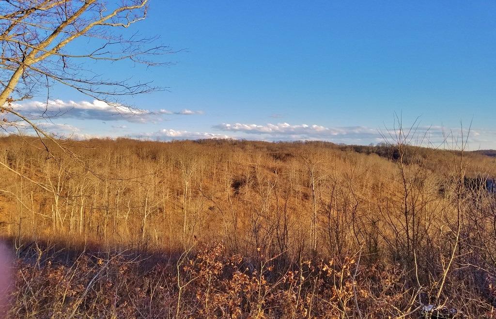 73 Hysell Run Rd