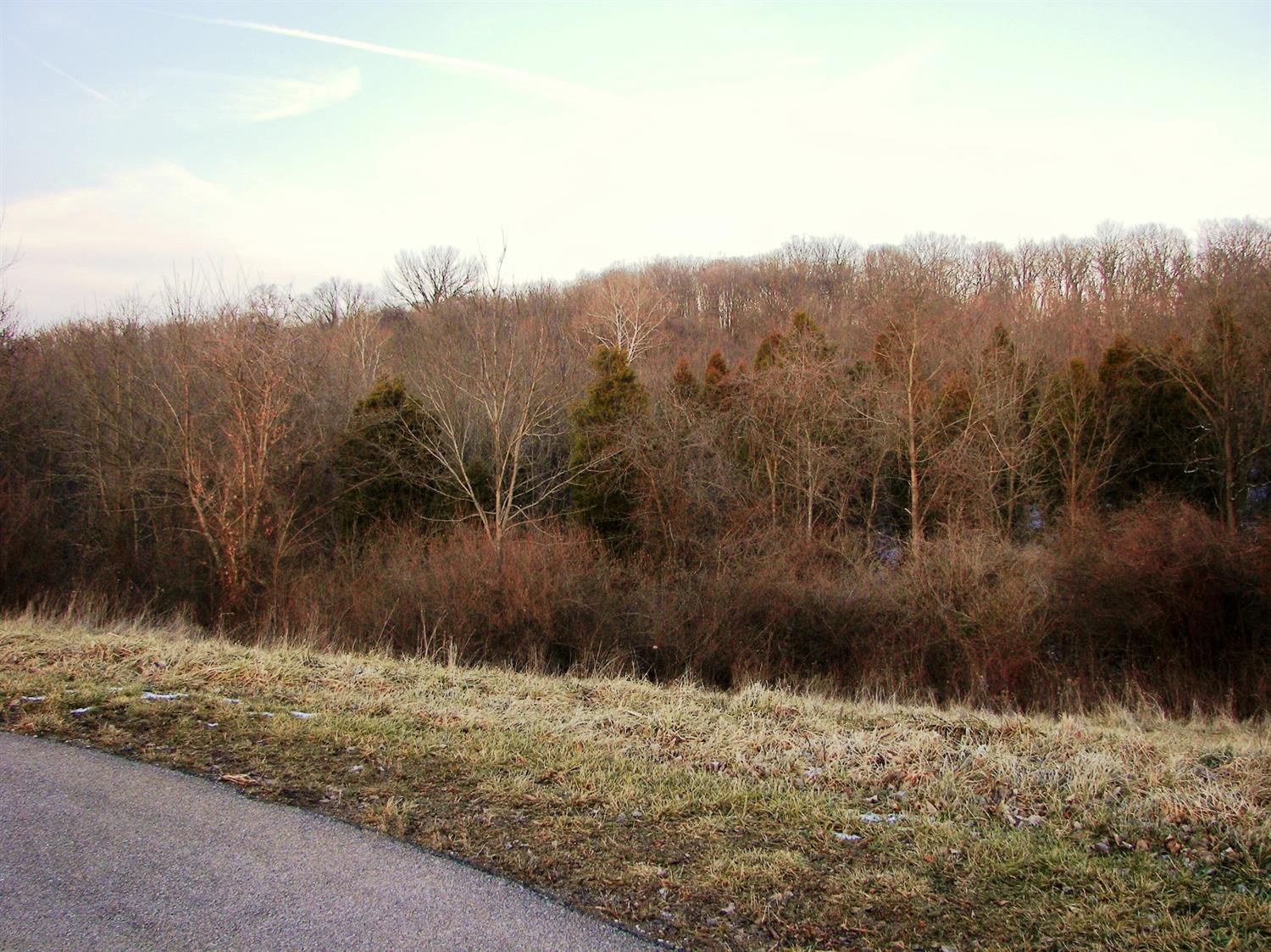 Apple Tree Ct