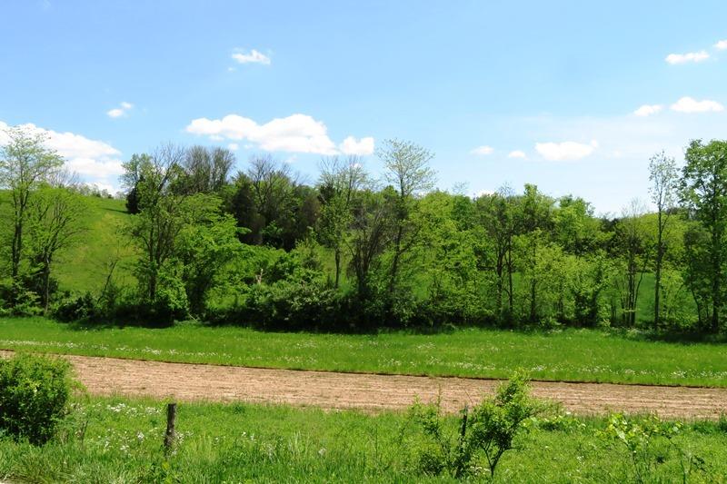 10100 Bradysville Rd Huntington Twp OH