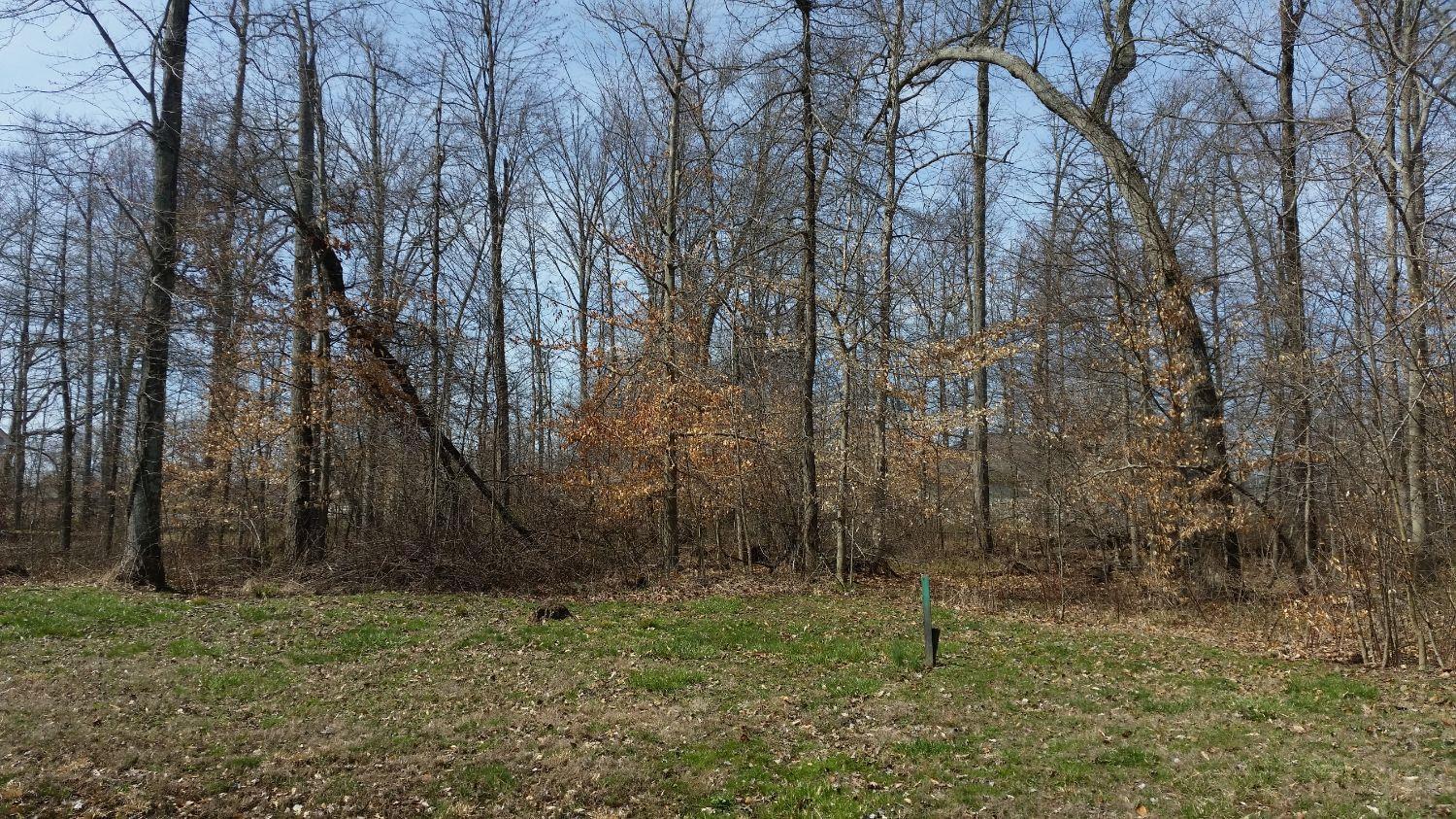 10 Brookshire Way Mt Orab OH