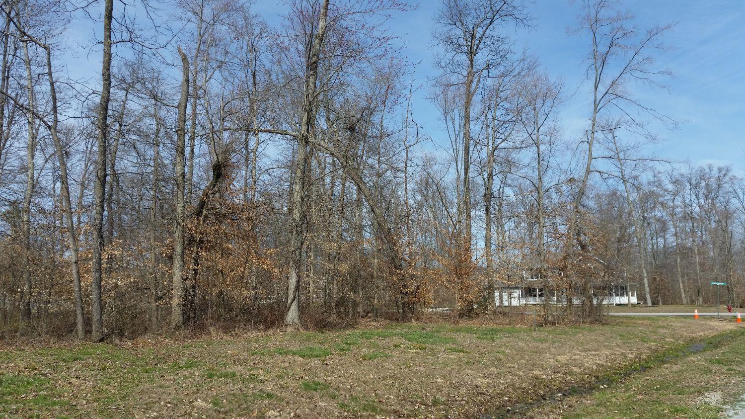 13 Brookshire Way Mt Orab OH