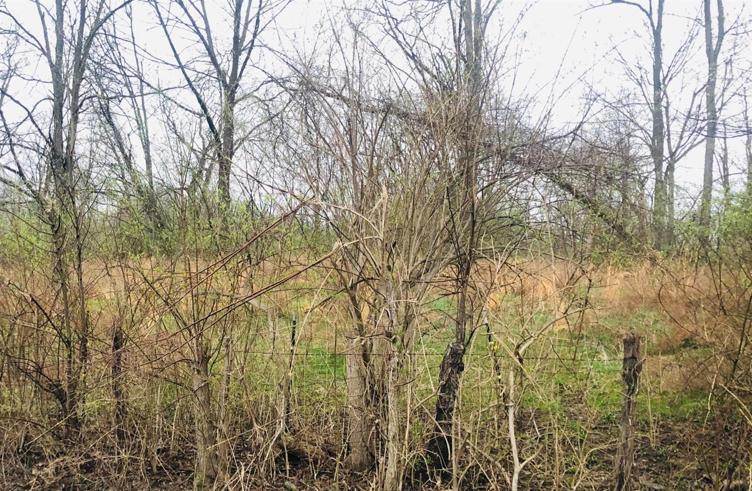Lot Foster Maineville Rd Salem Twp OH