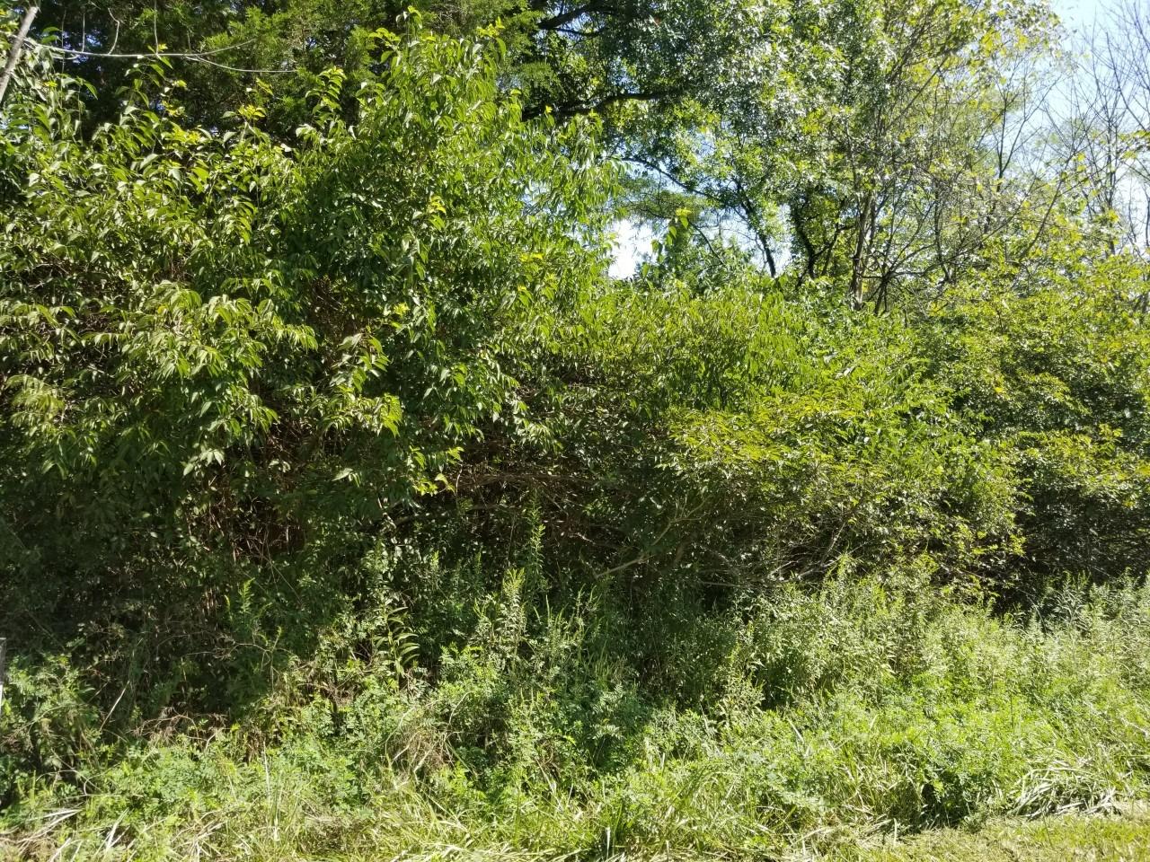 Cresthaven Dr Lawrenceburg IN