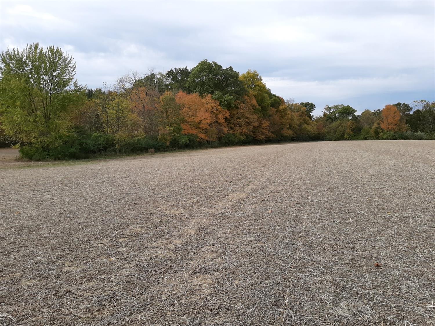 8767 Schlottman Rd Hamilton Twp OH