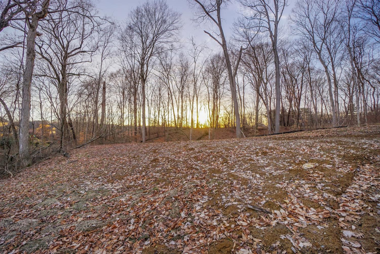 6376 Ellie Marie Ln Lot 5 Anderson Twp OH