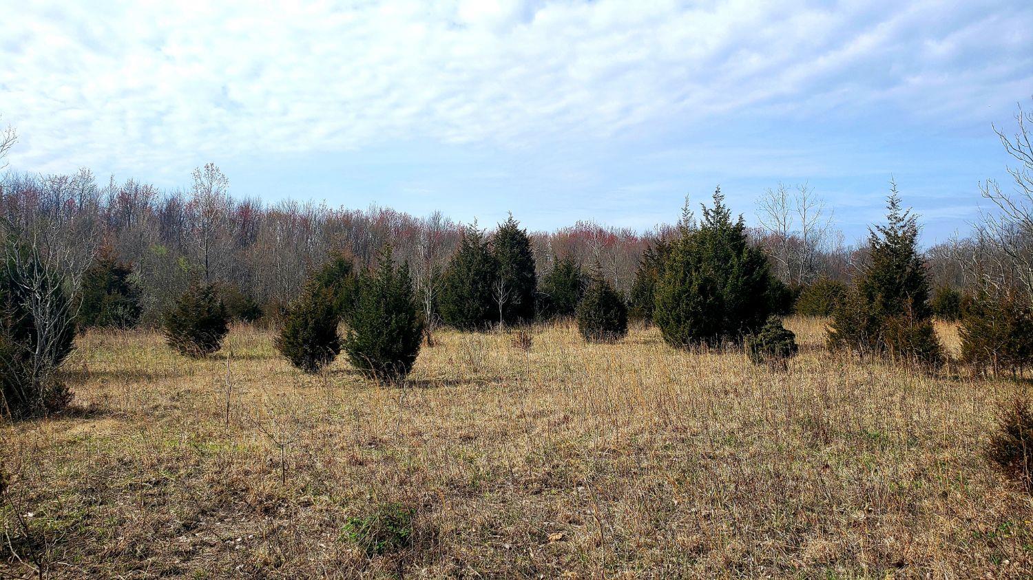 13552 Walls Rd Sardinia OH