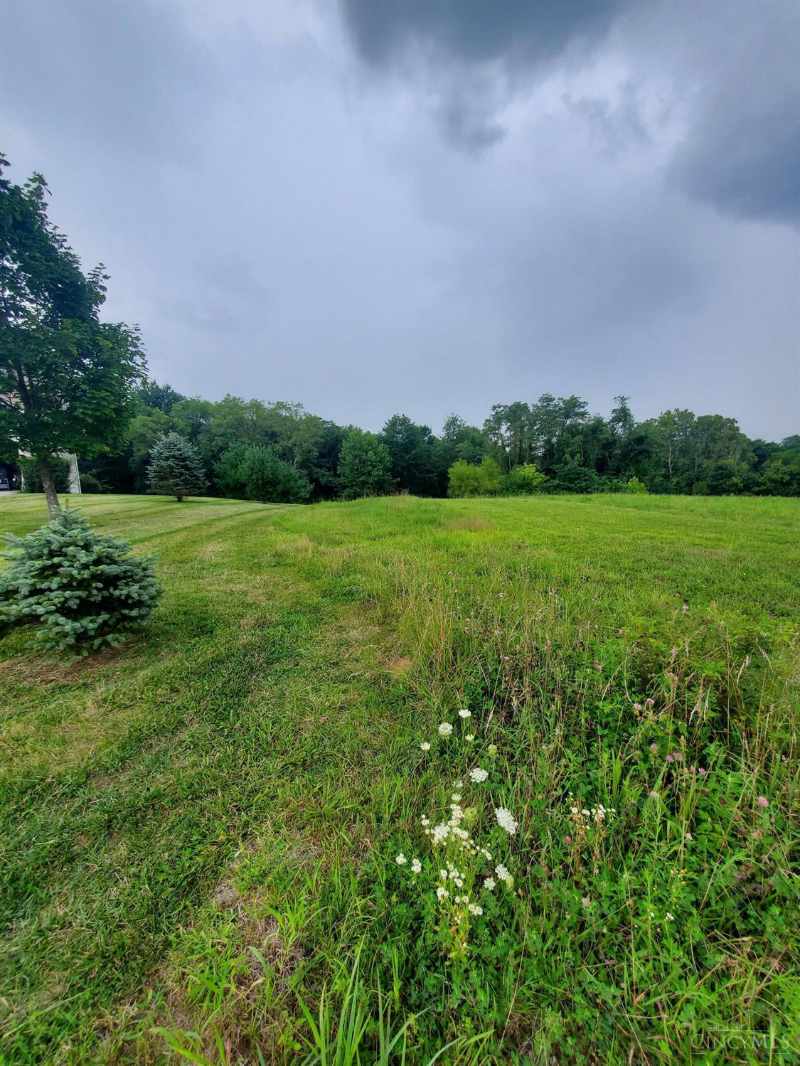 Photo of 71 Lily Way, Bethel, OH 45106