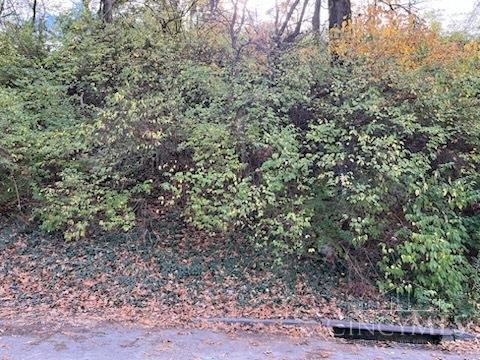 Photo of 521 Tafel St, Cincinnati, OH 45225