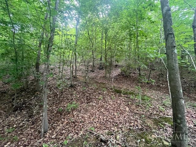 Photo of  Dry Run Rd, Washington Twp, OH 45663