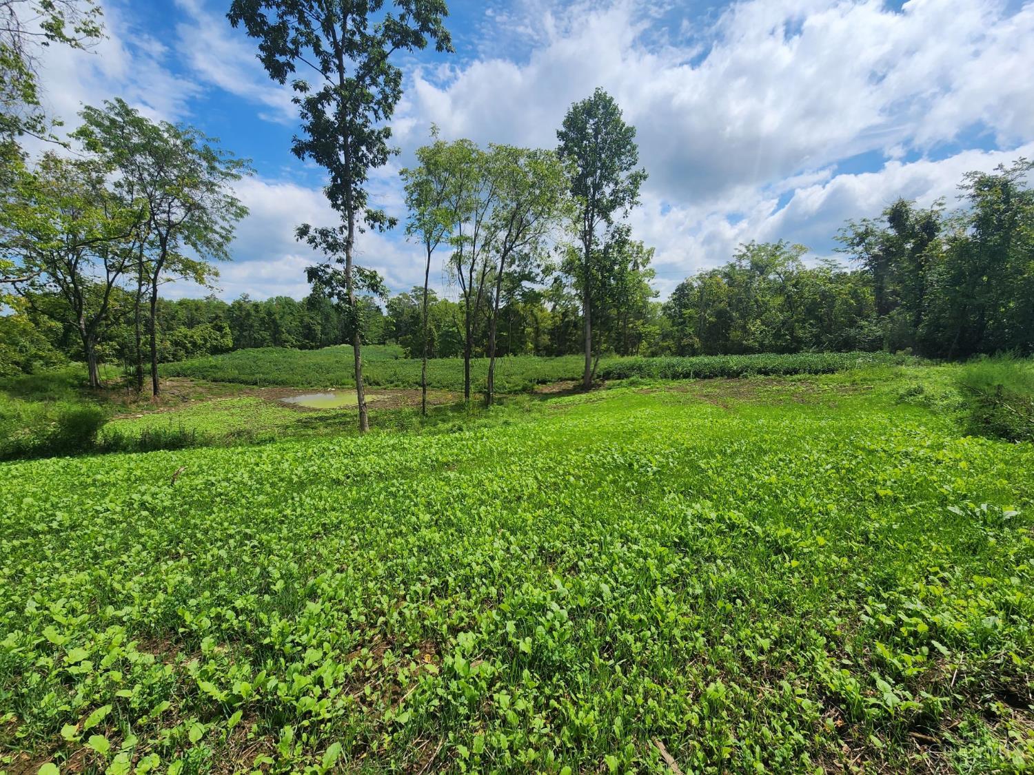 Photo of 503 Lick Skillet Rd, Manchester, OH 45144
