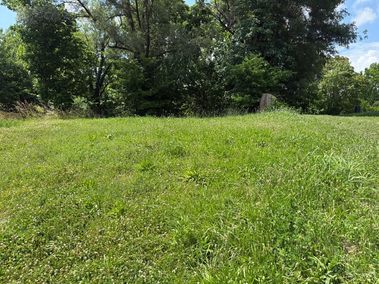 Photo of 2221 Rice Street, Cincinnati, OH 45219