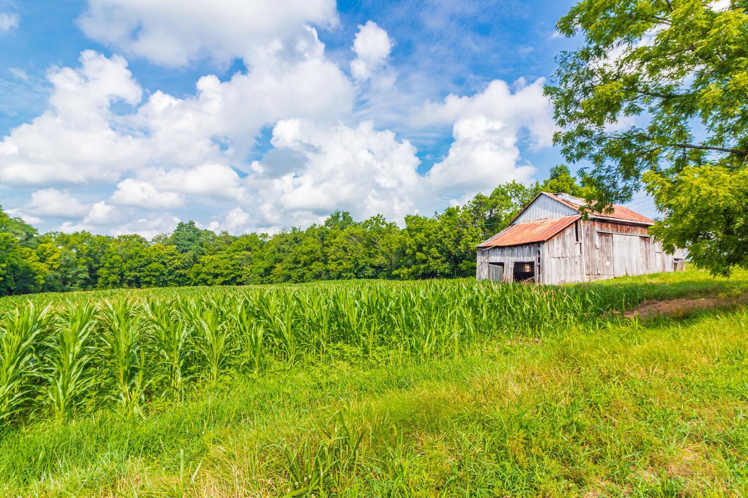 Photo of 3188 St Rt 125, West Union, OH 45693