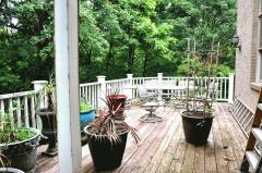 Property Photo 60