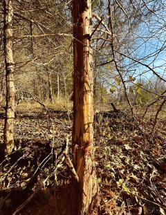 Property Photo 44