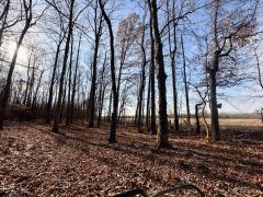 Property Photo 45