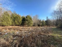 Property Photo 46