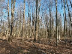 Property Photo 47
