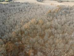 Property Photo 54