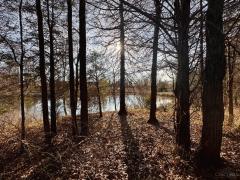 Property Photo 55