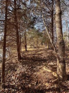Property Photo 56