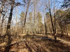 Property Photo 57