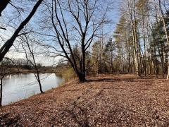 Property Photo 60