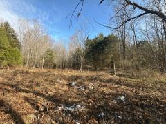 Property Photo 63