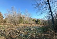 Property Photo 65