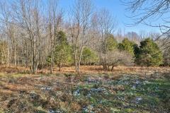 Property Photo 73
