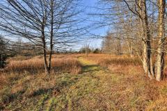 Property Photo 74