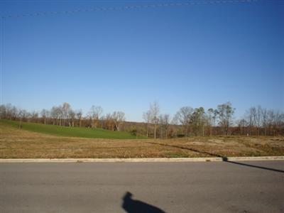 100 Pheasant DR