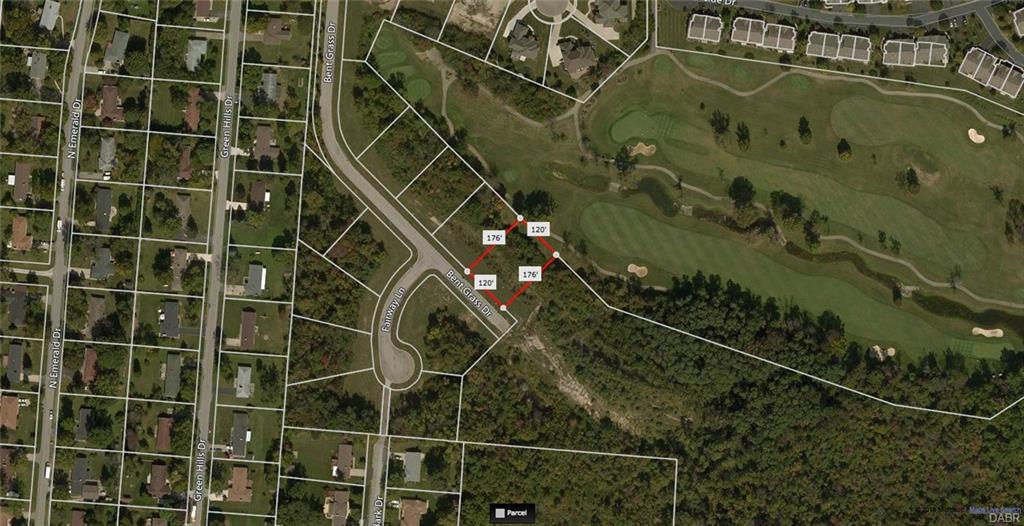 Bent Grass CT