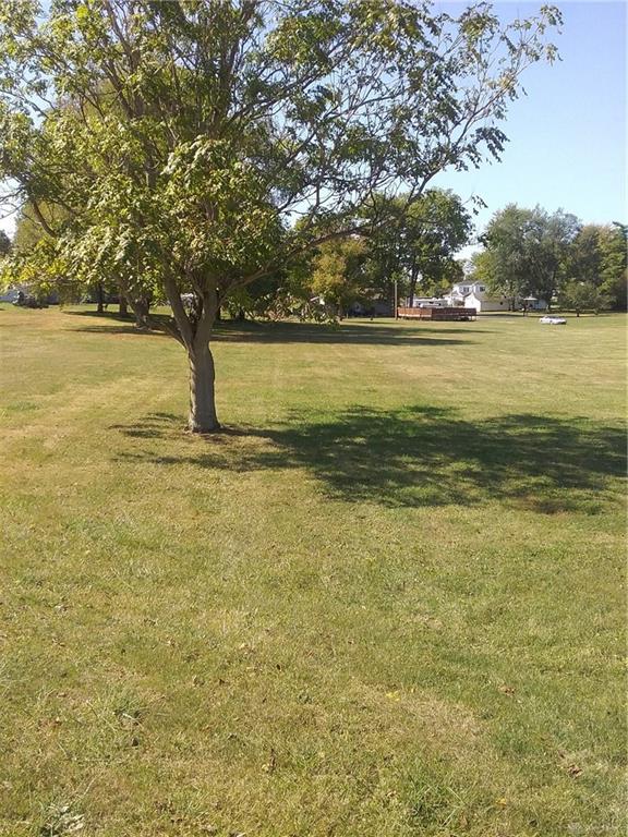 Elm HOLLANSBURG OH