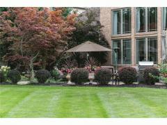 Property Photo 59