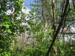 Property Photo 34