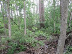 Property Photo 35