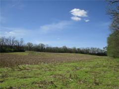 Property Photo 42