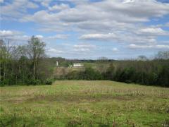 Property Photo 47