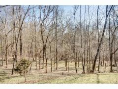 This is your very own private park!! The view of your backyard oasis.