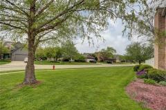 Property Photo 60