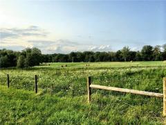 Property Photo 43