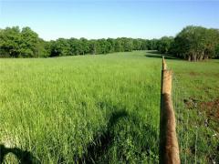 Property Photo 48