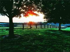Property Photo 60