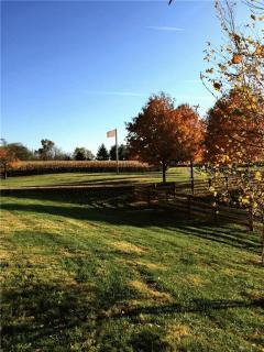 Property Photo 64
