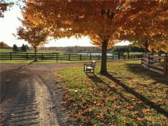 Property Photo 65