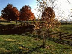 Property Photo 66