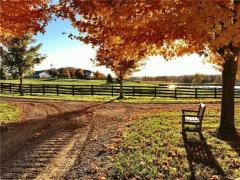 Property Photo 68