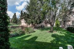 Backyard area