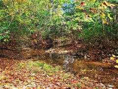Property Photo 49
