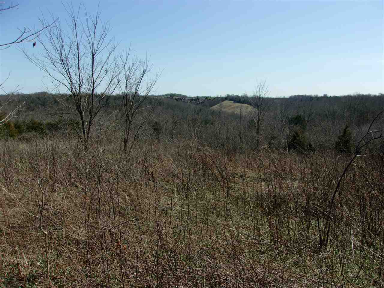 50 Ac Central Ridge Road